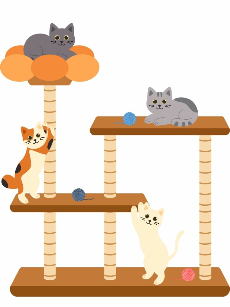 Vétérinaire de Garde Samedi 18 Juillet au Dimanche 19 Juillet 2026 jeu de chat