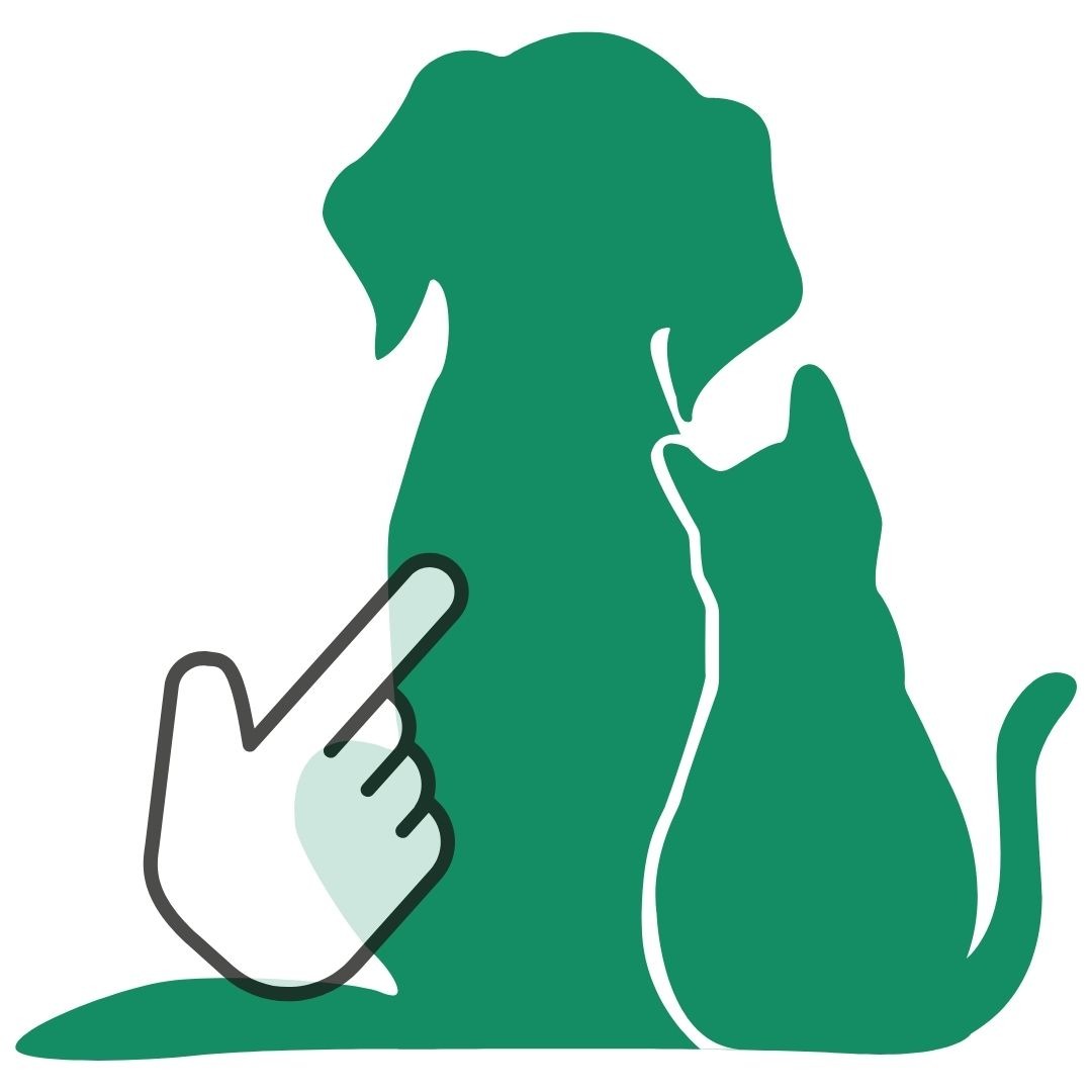 urgence veterinaire
